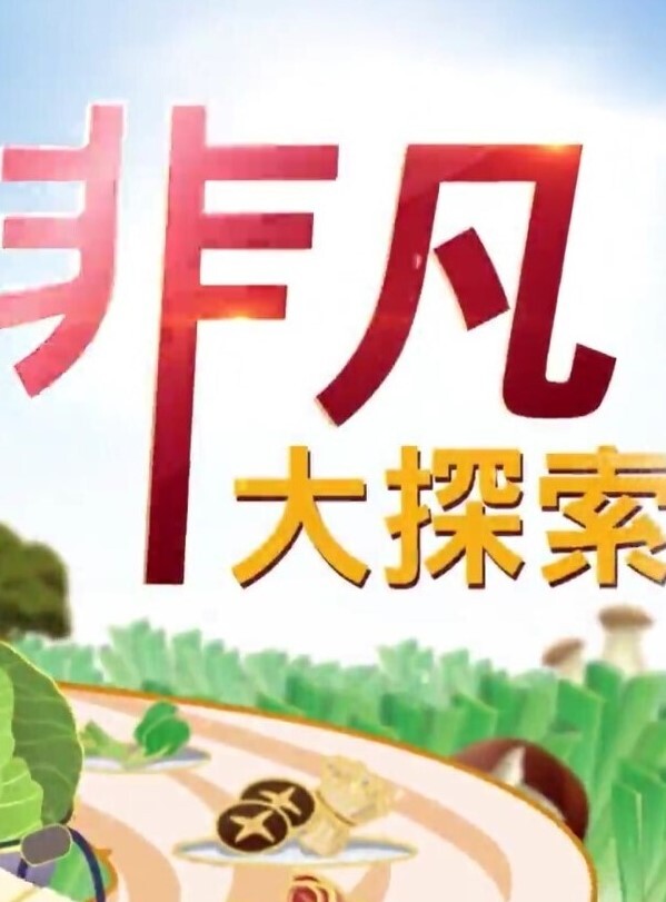 锤子探花再约极品眼镜御姐美腿高跟鞋很主动埋头舔骚逼抱起来猛操小穴 - G點視頻